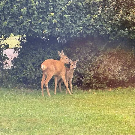 Hébergement de vacances Cosy Summer House At Kobaek